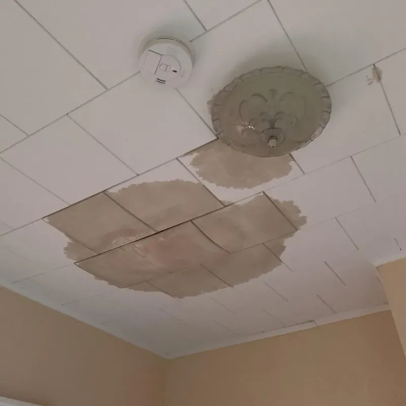 Ceiling Water Damage Repair in Essex County, VT