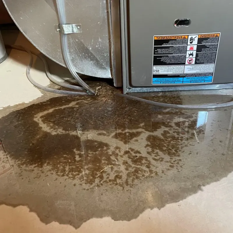 Pipe Burst and Leak Restoration in Essex County, VT