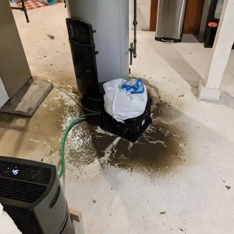 Sewage Backup Cleanup Service in Essex County, VT